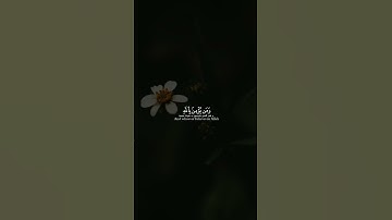 #raad_mohammad_alkurdi #سورة_التغابن