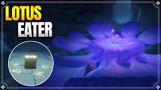 Lotus Eater + Secret Room | World Quests and Puzzles |【Genshin Impact】