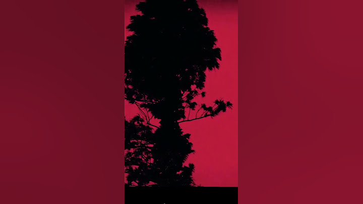 Говорят это видео вызывает панические атаки 🥺