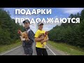 В гостях у пчеловода // Новые подарки // Чистопородные голошейки