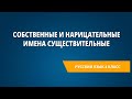 Собственные и нарицательные имена существительные