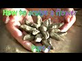 Sculpting a flower out of clay