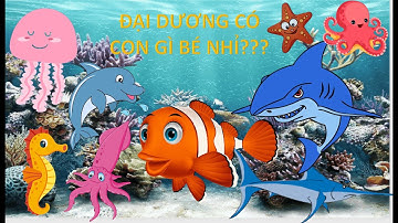 Bé khám phá đại dương| Các loài động vật biển| Các loại cá biển