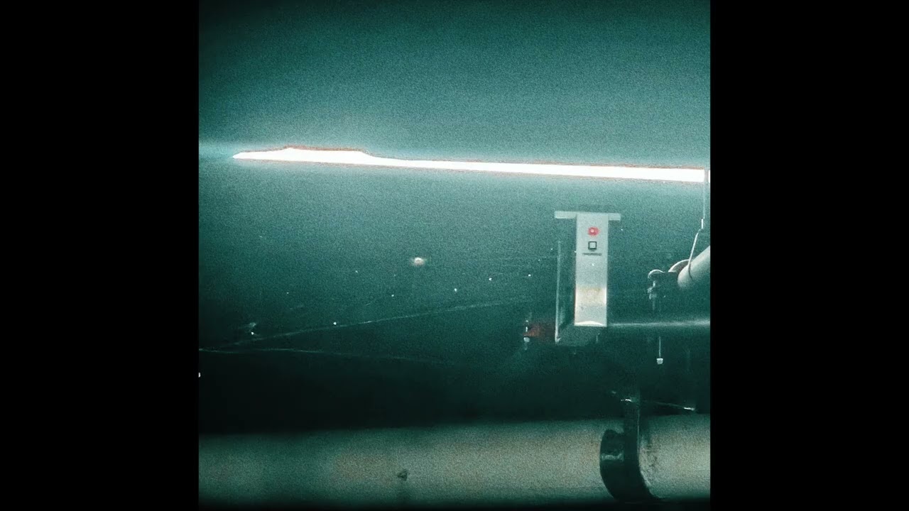 Virginie - feni-x (2026)