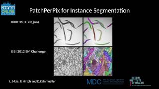 PatchPerPix for Instance Segmentation - Teaser