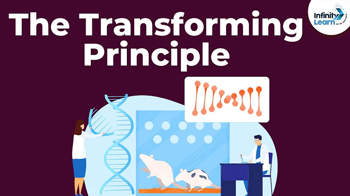 Genetics - The Transforming Principle - Lesson 12 ...