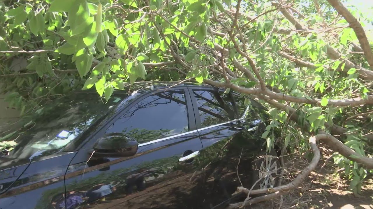 Crews and residents cleaning up after Sunday's storm damage - YouTube