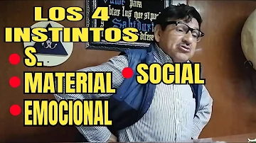 ¿Cuáles son los 4 instintos básicos?