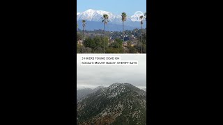 3 hikers, including 19-year-old, found dead on SoCal's Mount Baldy, sheriff's department says