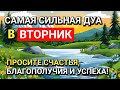 СЛУШАЙТЕ ХОТЯ БЫ 1 РАЗ В РАМАДАН! МОЩНАЯ МОЛИТВА НА СЧАСТЬЕ, БЛАГОПОЛУЧИЕ И УСПЕХ!