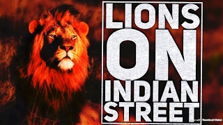 Most viral Video : Lions openly on Indian Street  | Gujarat Lions | Exclusive Travel Destination |