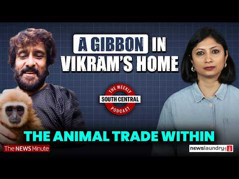 Vikram’s Lar Gibbon video and TN Speaker’s anti-abortion speak | South Central 88