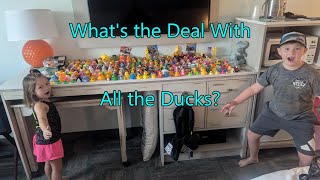 Duck Duck Jeep The Full Story