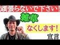 【目からうろこ！】園芸店の店長が毎年困る雑草の減らし方を教えます。雑草の仕組みを知れば 雑草対策は簡単です　雑草を生やさないコツ　是非ご覧ください！ japan garden