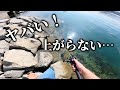 【穴釣り】ヤバい！上がらない！！釣ったカサゴを調理したら美味しすぎた！