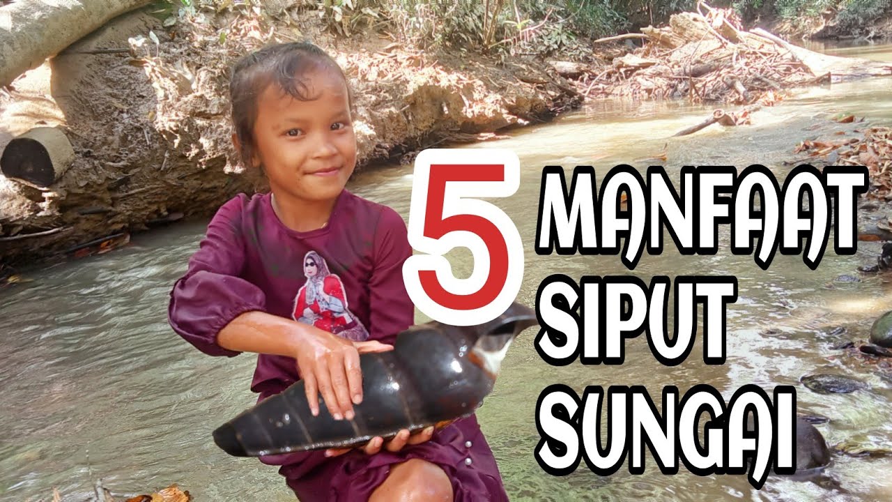 5 MANFAAT SIPUT SUNGAI