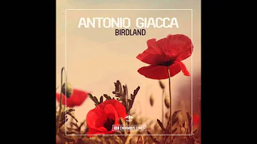 Antonio Giacca - Birdland (Original Mix)