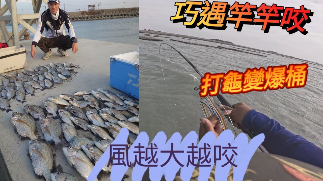 竿竿咬就是好玩，原本打龜突然遇到魚群來襲