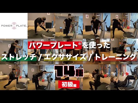 初心者必見】パワープレートを使った全身ストレッチ・エクササイズ