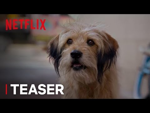 BENJI | Official Teaser [HD] | A Netflix Film