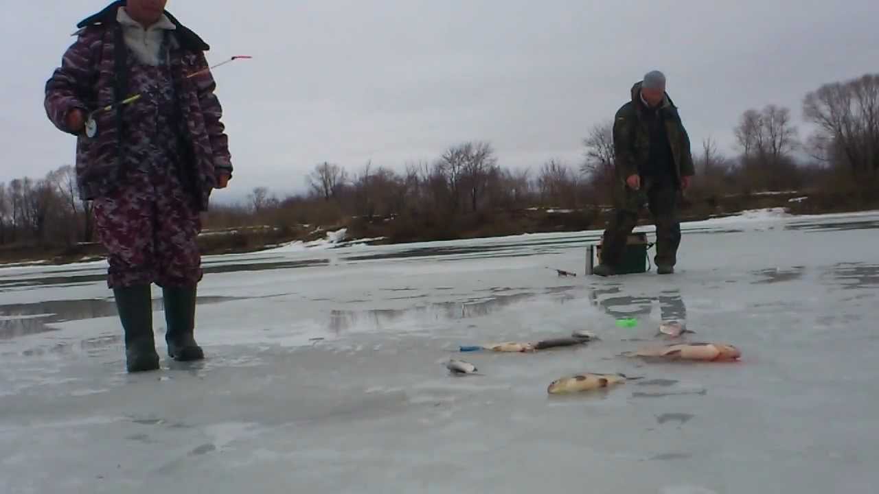 Белый снег летит сани в даль бегут слушать видео