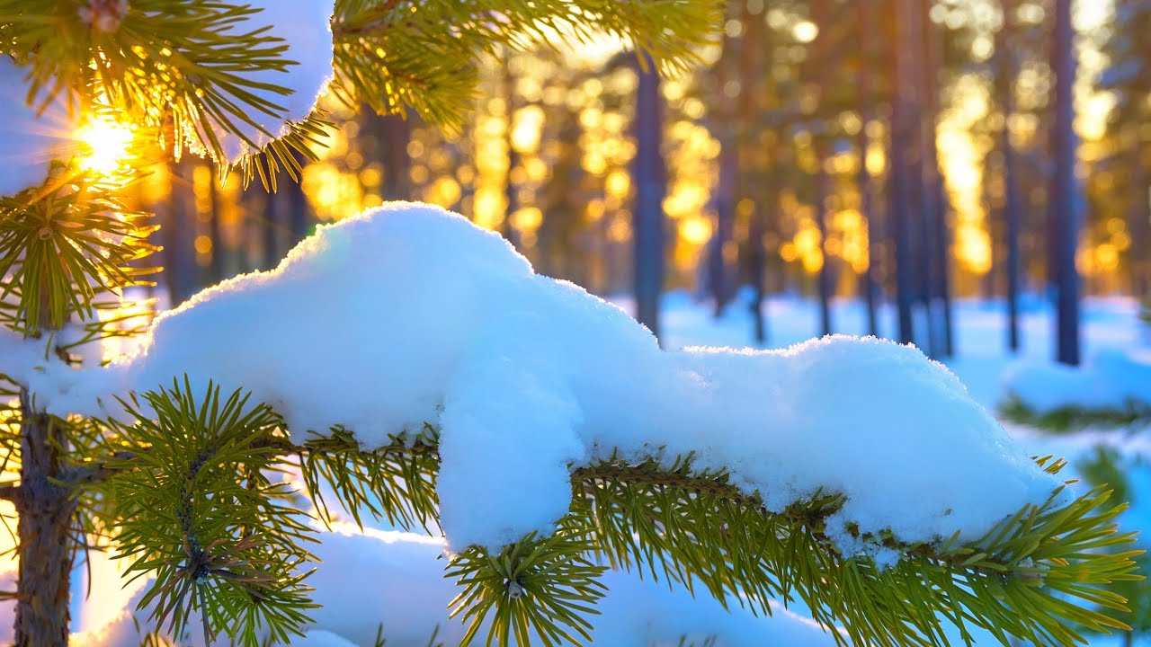 ВЫПАЛ СНЕГ И СЛЕПИЛ СНЕГОВИКА Жизнь музыканта #2 - YouTube