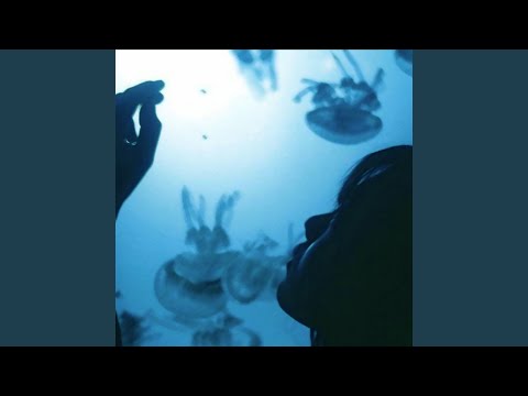 Putar somnium - Interworld