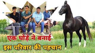 History of Stallion Rajveer || राजवीर घोड़े का जीवन