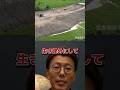 【危機】釧路湿原の中国製ソーラーパネル事業がヤバすぎる