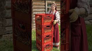 Growing Potatoes In Crates The Harvest Is Insane