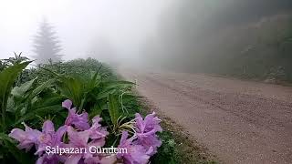 Şalpazarı Ağasar Yayla Göçü