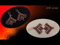 Fashion Earrings with Crystals/Netted Jewelry/Aretes/Tutorial diy