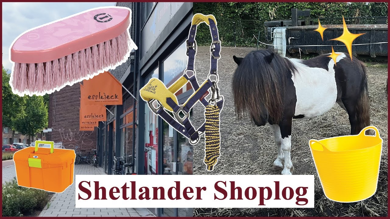 SHETLANDER SHOPLOG! Kunnen we ons een beetje inhouden? | Dwally's Horses