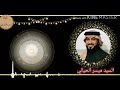 السيد ميسر الحيالي الراية البيضة ألهم مبنية 