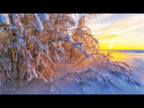 СВЯТОЕ МЕСТО.Омск.Ачаирский Монастырь.Святой