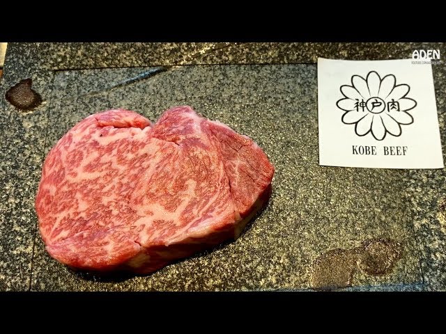 $201 Kobe Beef well done in Tokyo - Japan