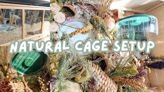 Natural Hamster Cage Setup! // The Pawhut Enclosure