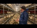 Laying Hen Farm Tour at Siemens Farms