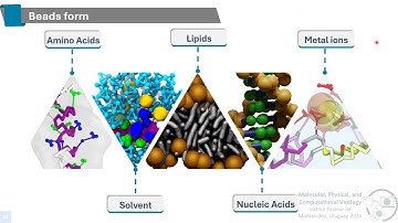 8. Introduction to coarse-grained modeling for biological systems_LSilva
