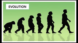 The Evolutionary Process | The theory of evolution & natural selection | with examples