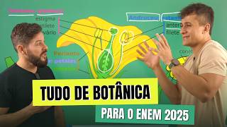 Tudo De Botânica Para O Enem 2025 Melhor Didática Do Brasil