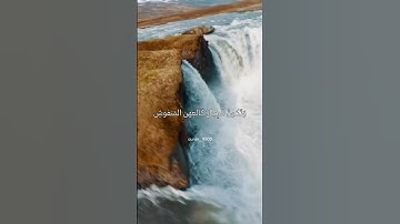 سورة القارعة كامله بتلاوة الشيخ ناصر القطامي و ياسر الدوسري معا♥️♥️#تلاوة #سورة_القارعة #ارح_قلبك