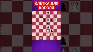 💥ЗАДВИНУЛ! #chesspuzzle #шахматныезадачи #шахматы #chess