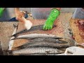 7 Barracuda Fish Fillet by 5 Minute।10 LBS Fish $100 Fillet by Knife।Super Fast Fish Cutting Market