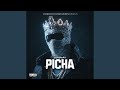 Picha