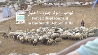 Forced displacement in the South Hebron Hills | تهجير زانوتا جنوب الخليل by Mada Masr 800 views 1 month ago 4 minutes, 16 seconds