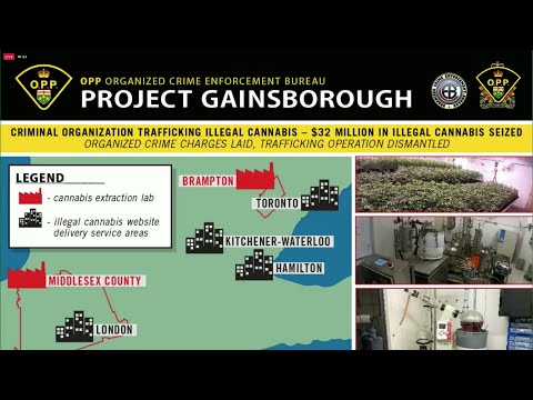 Firearms, cash and $32M of illegal cannabis seized in Ont.