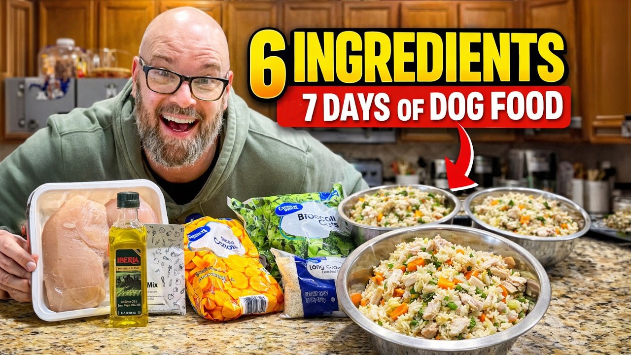 Этой домашней еды моей собаке хватает на 7 дней 🐾🦴🍲