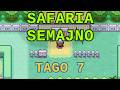 Safaria Semajno (Safari week) 2026 - Tago 7
