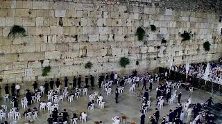 The Western Wall - Prayers Plaza Live Cam | מצלמות הכותל המערבי - רחבת התפילה